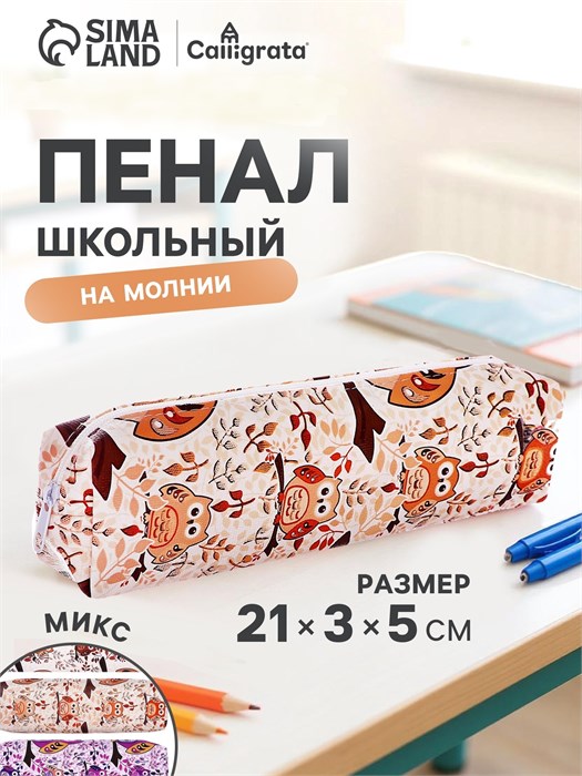 Пенал школьный Calligrata «Совы», на молнии, 1 отделение, с принтом 4009105