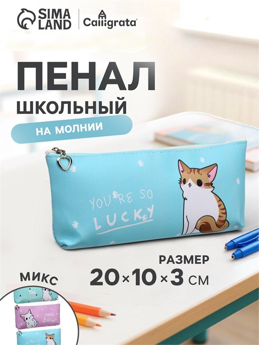 Пенал школьный на молнии "Котик", МИКС 9371221