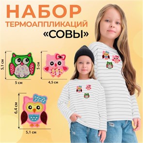 {{productViewItem.photos[photoViewList.activeNavIndex].Alt || productViewItem.photos[photoViewList.activeNavIndex].Description || 'Термоаппликации &quot;Совы&quot; 3 шт, 6.4 х 5.1 см, 5.1 х 5 см, 5 х 4.5 см'}}