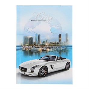 {{productViewItem.photos[photoViewList.activeNavIndex].Alt || productViewItem.photos[photoViewList.activeNavIndex].Description || 'Записная книжка А6 48 листов &quot;Машина-мечта 2&quot; клетка, сшивная, твёрдая обложка, глянцевая ламинация'}}