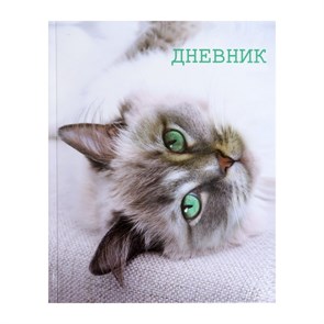 {{productViewItem.photos[photoViewList.activeNavIndex].Alt || productViewItem.photos[photoViewList.activeNavIndex].Description || 'Дневник для 5-11 классов, &quot;Кошка&quot;, твердая обложка 7БЦ, глянцевая ламинация, 48 листов'}}