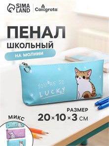 {{photo.Alt || photo.Description || 'Пенал школьный на молнии "Котик", МИКС'}}