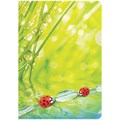 Папка-уголок А4, 180 мкм Ladybird 2530523 - фото 413629