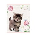 Тетрадь А5 12 листов косая линия "Cat story" обложка картон, рисунок, надпись, скоба 4917984 - фото 415447