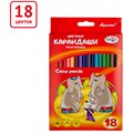 Карандаши цветные 18 цв Гамма "Мультики" деревянные, 3-гранные, заточенные, 17.4 см 050918_08