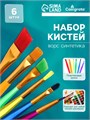Набор кистей "Радуга" синтетика, 6 штук 1390397