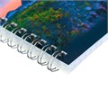Тетрадь А5 60 листов клетка "Free space" обложка картон, рисунок, надпись, гребень, блок 60 г/м², белизна блока 95-100% Т5гр60 7173