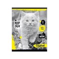 Тетрадь А5 40 л линия BG "Fluffy. Белый котёнок" обложка картон, скоба, блок 60 г/м², белизна блока 90-92% Т5ск40 7685 белый